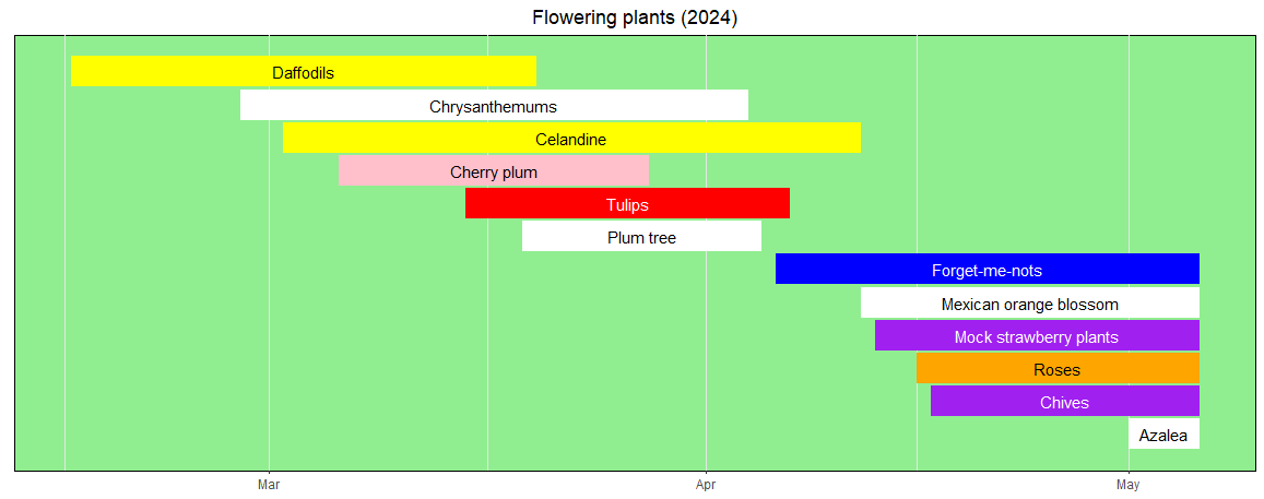 Flowering plants (2024)