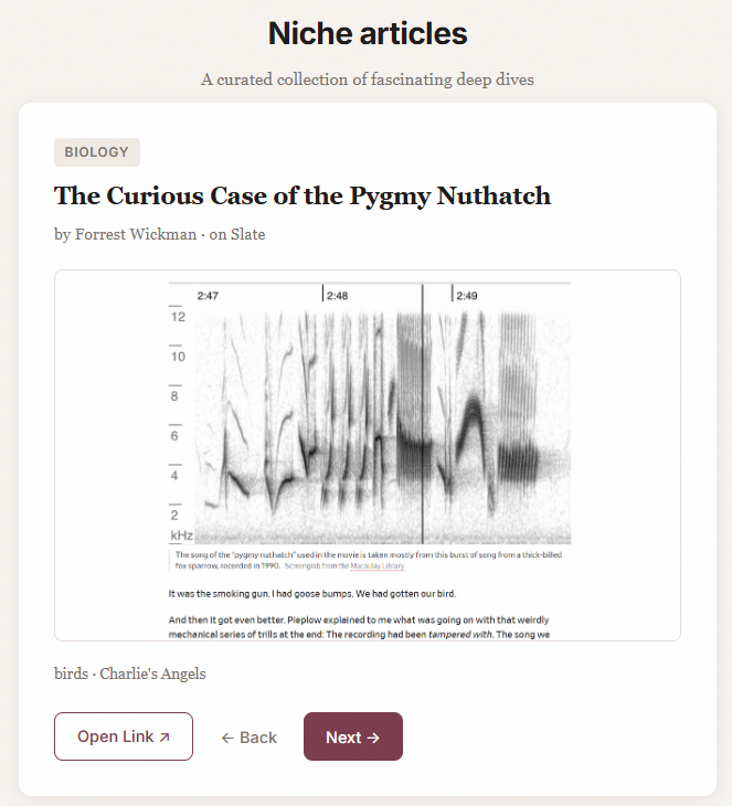 Niche article example - the Curious Case of the Pygmy Nuthatch